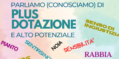 Parliamo (conosciamo) di PLUS DOTAZIONE e alto potenziale